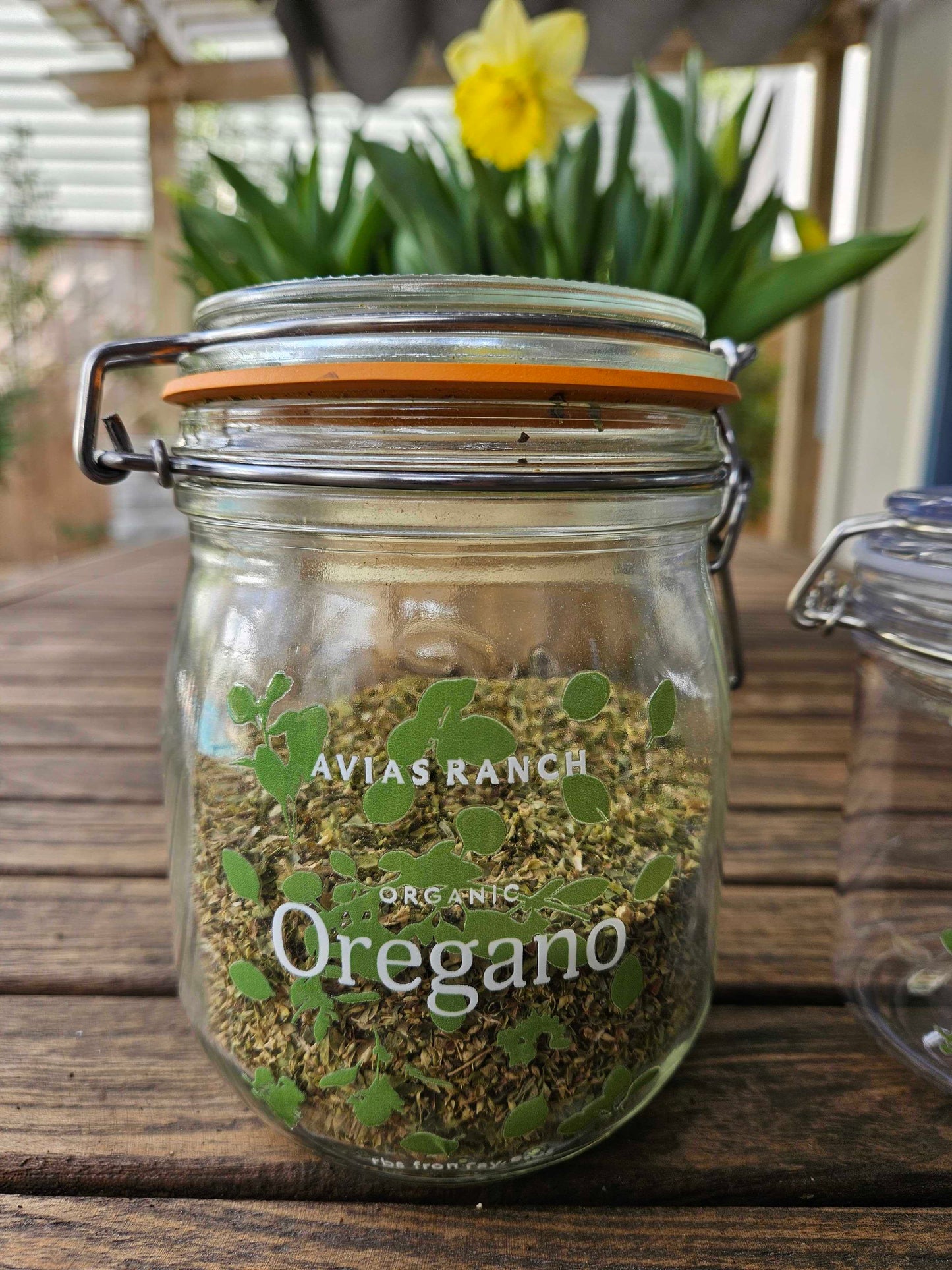 Dried organic Greek oregano grown in the regenerative olive groves at Avias Ranch estate