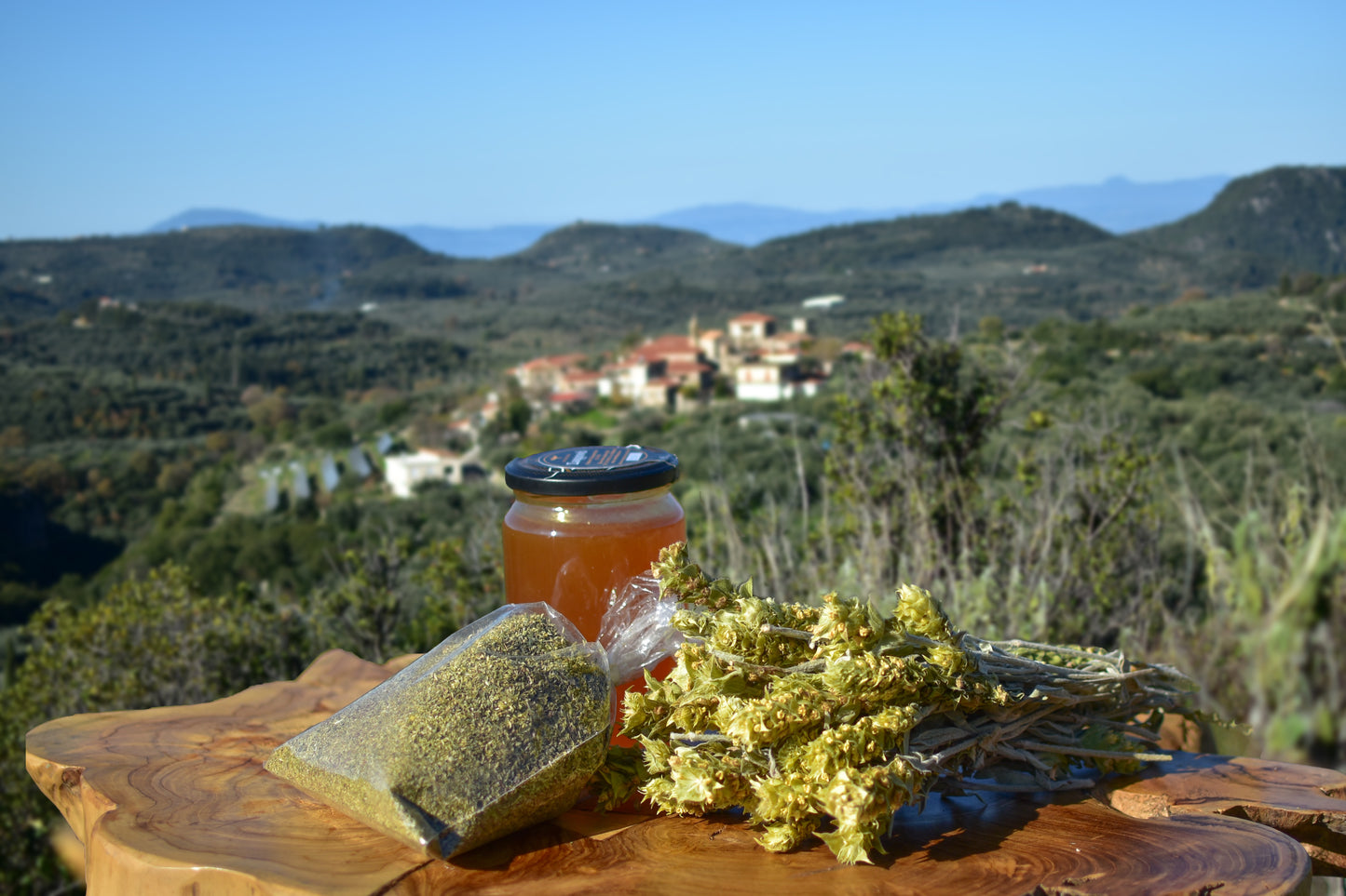 Wild Greek Mountain Oregano
