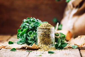 Dried-organic-Greek-oregano-from-the-Avias-Ranch-Estate